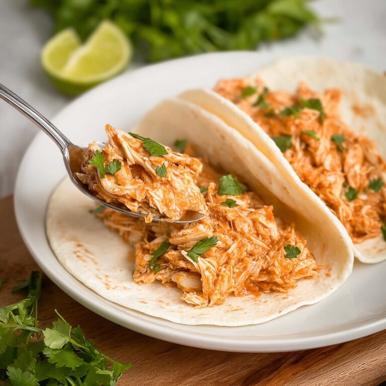 Crockpot Salsa Chicken Recipe