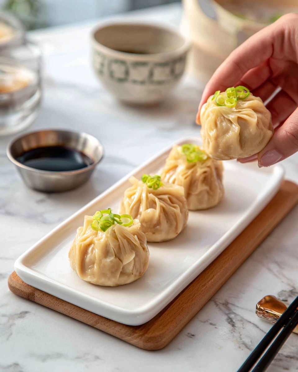 Vegan Zucchini Dumplings Recipe - Recipe Image