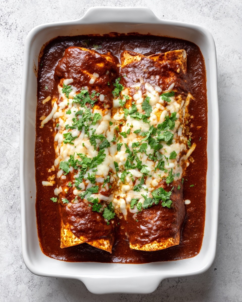 Enfrijoladas Recipe - Recipe Image